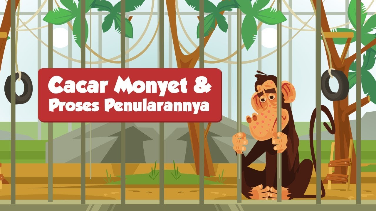 Cacar Monyet & Proses Penularannya