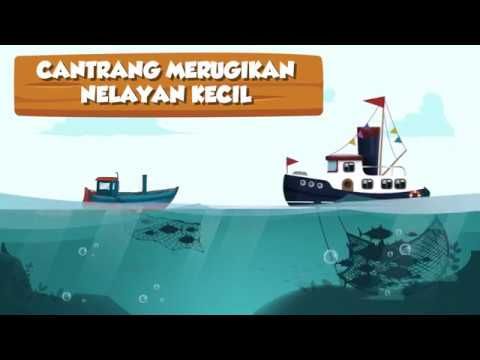 Cantrang Merugikan Nelayan Kecil