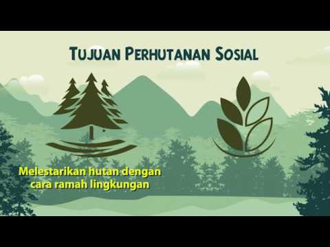 Hutan Sosial untuk Masyarakat