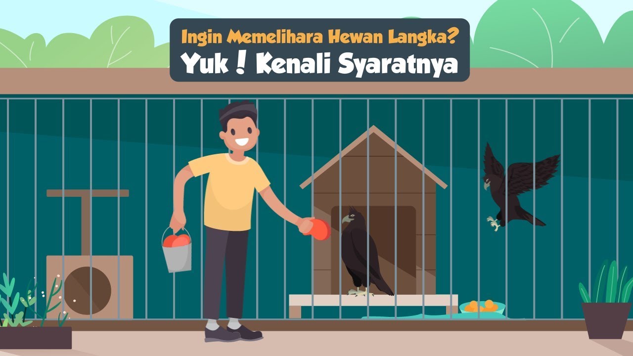 Ingin Memelihara Hewan Langka? Yuk Kenali Syaratnya!