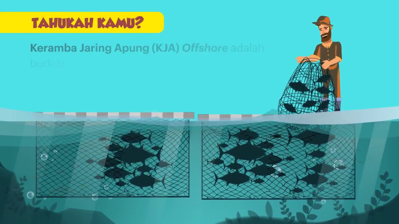 [Motion Grafis] Keramba Jaring Apung Offshore, Sentuhan Modern Budidaya Perikanan