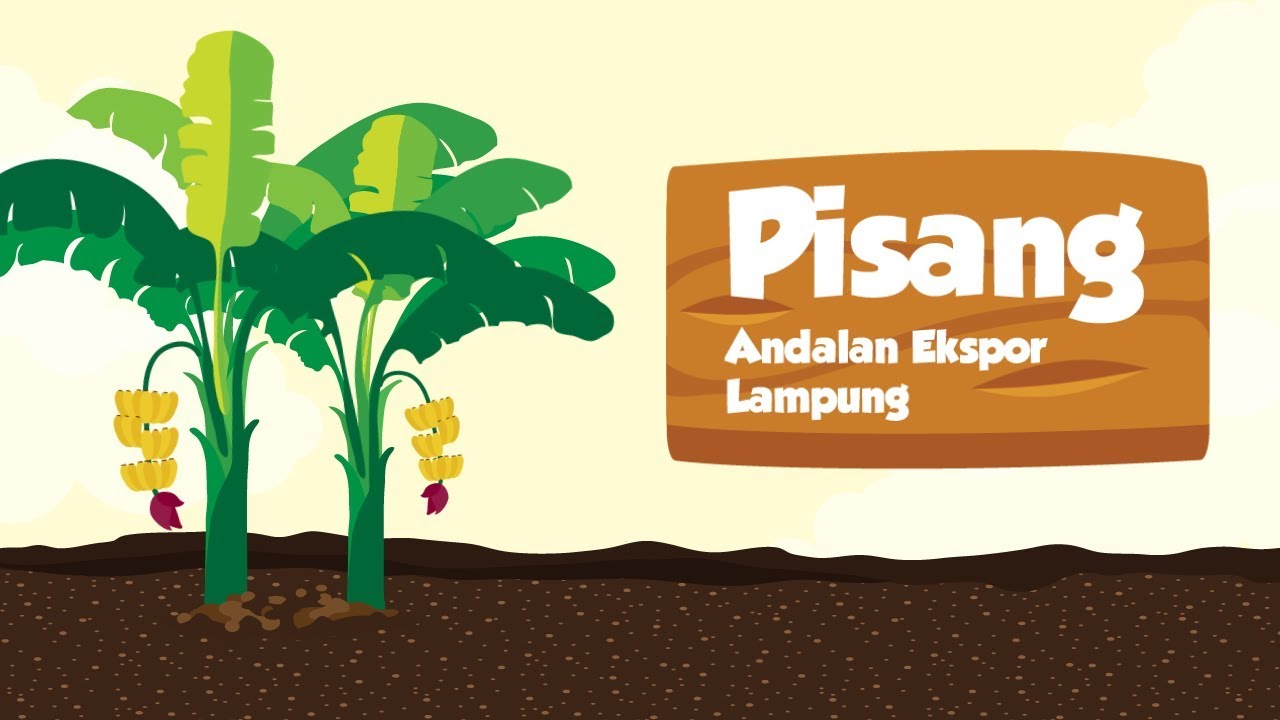 [Motion Grafis] Pisang: Andalan Ekspor Lampung