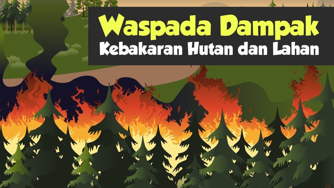 [Motion Grafis] Waspada Dampak Kebakaran Hutan dan Lahan