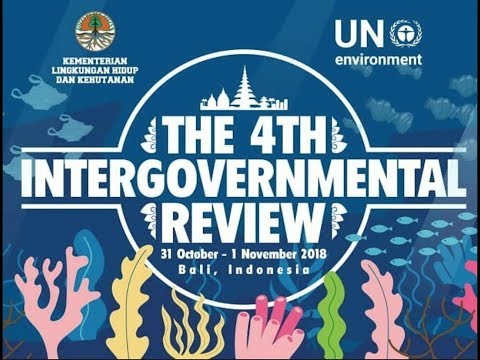 4th Intergovernmental Review Meeting