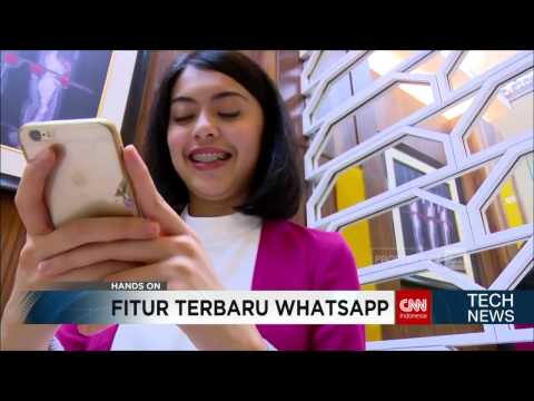 Asyik, WhatsApp Makin Seru dengan Fitur-fitur Terbaru