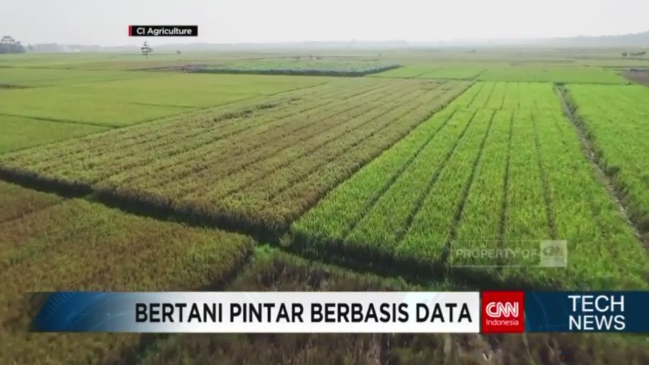 Bertani Pintar Berbasis Data