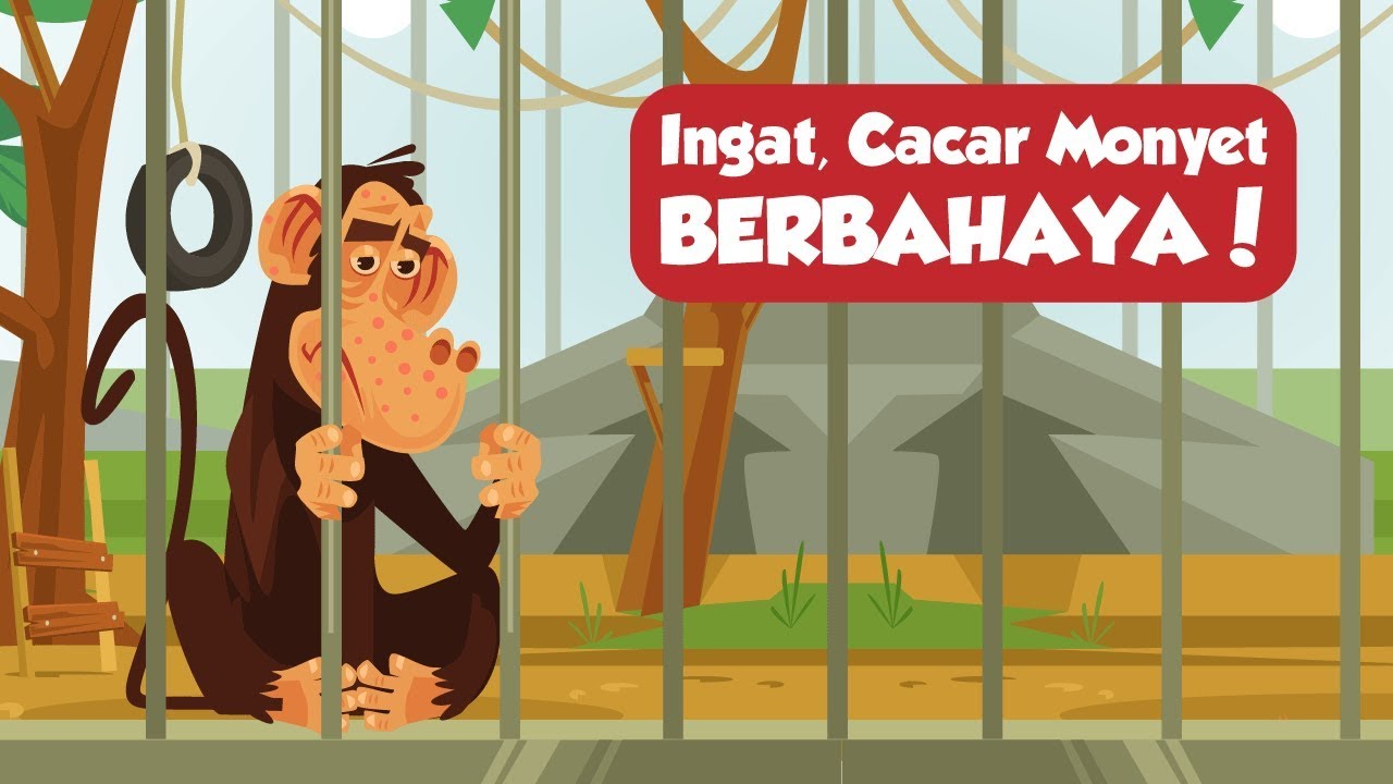 Cacar Monyet Berbahaya! Bagaimana Cara Menghindarinya?