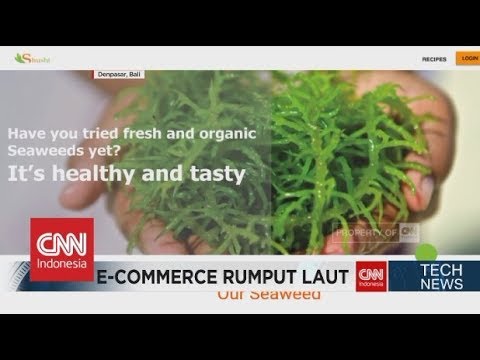 Inovasi Bisnis Rumput Laut Melalui E-Commerse