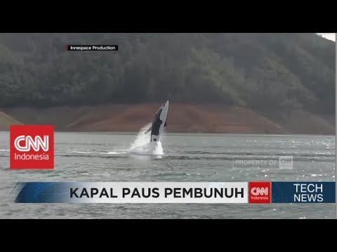 Kapal Akrobatik Canggih Berbentuk Paus Pembunuh