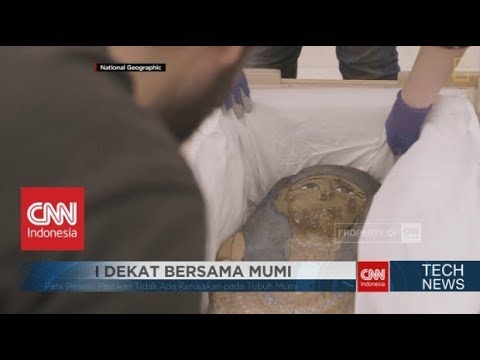 Lebih Dekat dengan Mumi