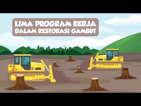 Lima Program Kerja dalam Restorasi Gambut