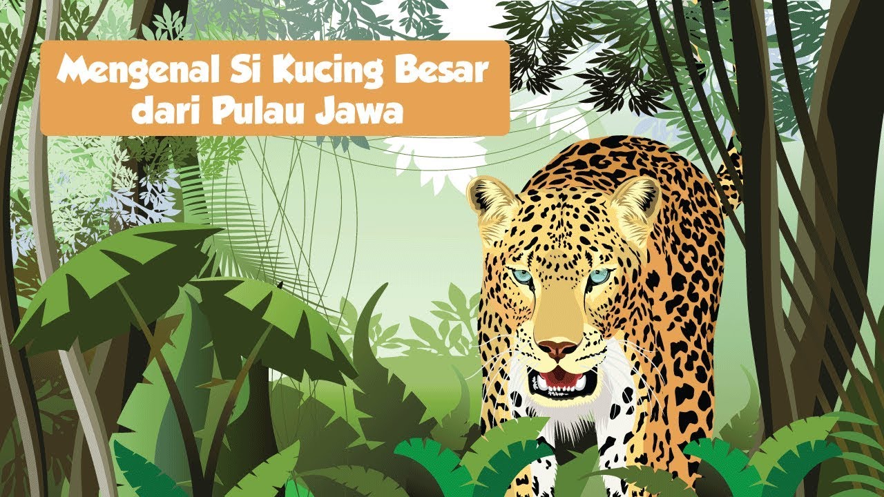 Mengenal Si Kucing Besar dari Pulau Jawa