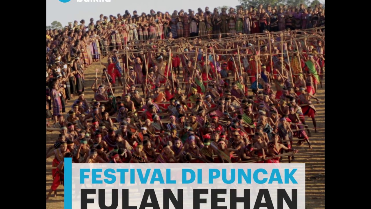 [Miniclip] Festival Di Puncak Fulan Fehan