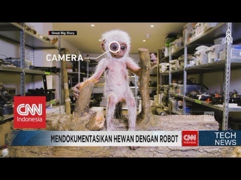 Mirip Banget! Begini Caranya Mendokumentasikan Hewan dengan Robot - TechNews