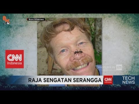 Orang Ini Rela Disengat oleh Ribuan Serangga untuk Kepentingan Penelitian