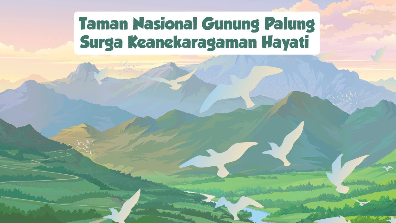 Taman Nasional Gunung Palung Surga Keanekaragaman Hayati