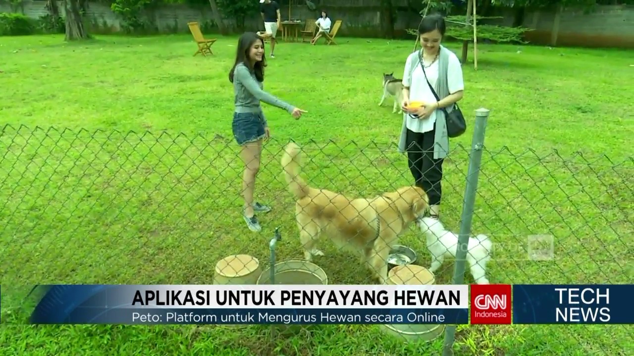 Tech News: Aplikasi untuk Menemukan Pasangan Hewan Peliharaan