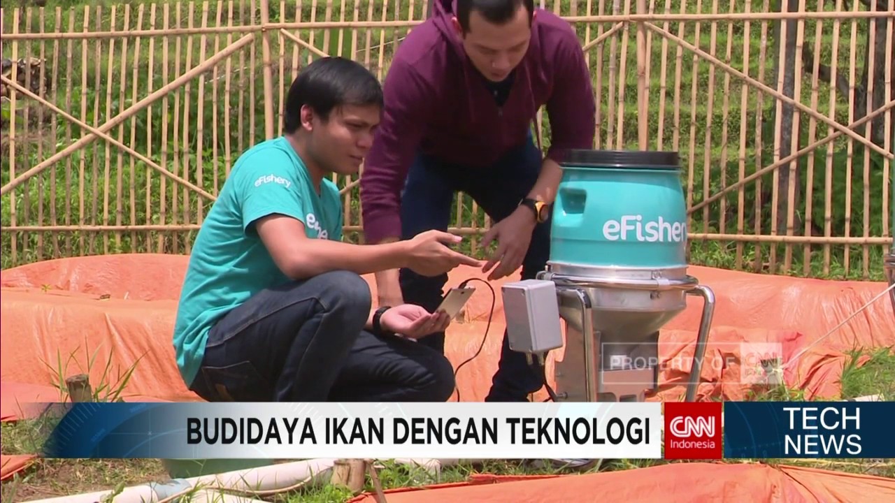 Tech News: e-Fishery, Inovasi Baru Budidaya Ikan dengan Teknologi