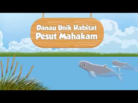 Danau Unik Habitat Pesut Mahakam