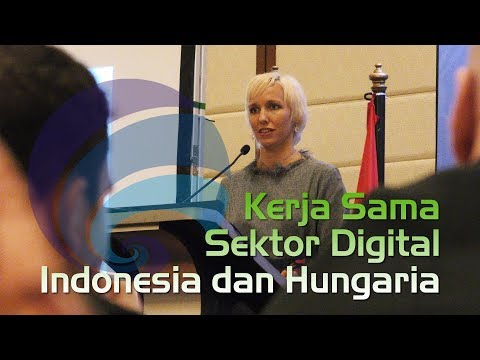 Indonesia dan Hungaria Tingkatkan Kerja Sama Sektor Digital