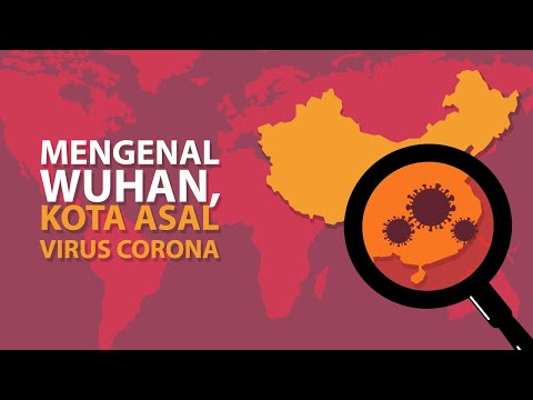 Ada Apa Sih dengan Wuhan? Kota Asal Virus Corona