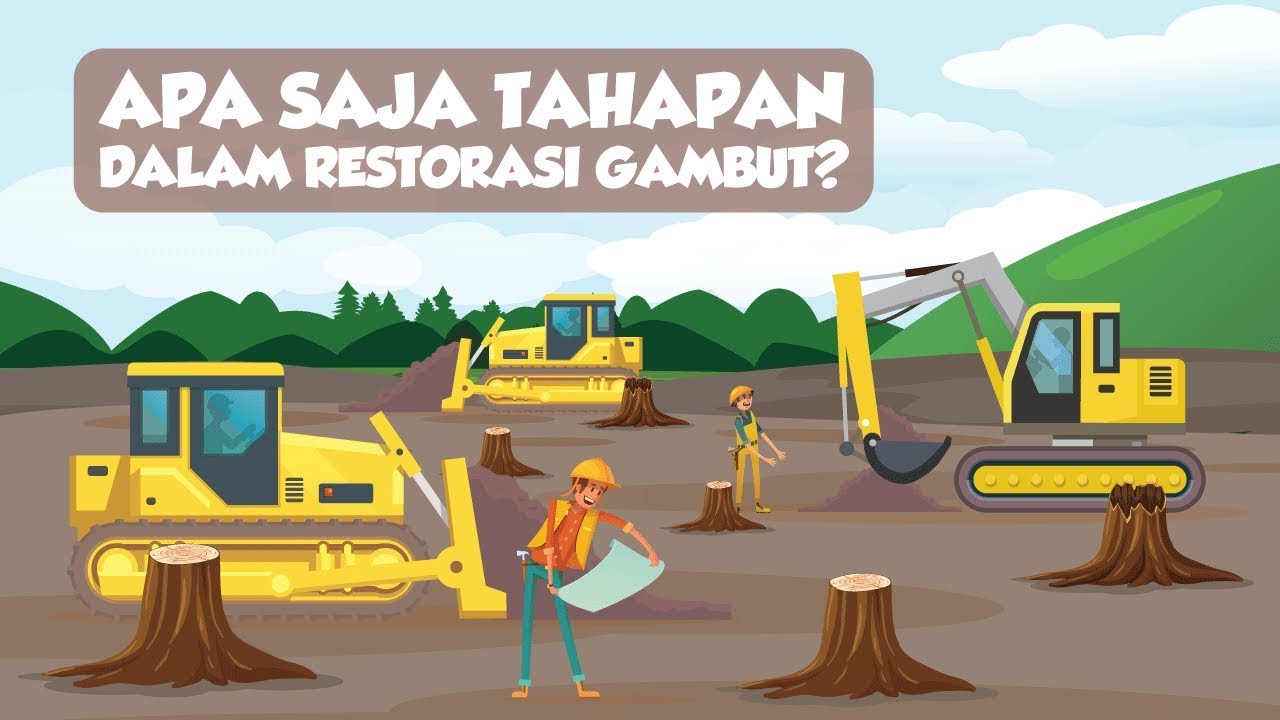 Apa Saja Tahapan dalam Restorasi Gambut