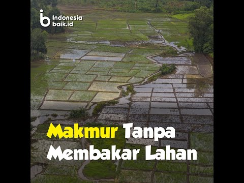 Cara Makmur Tanpa Membakar Lahan, Memang Bisa?