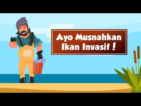 [Motion Grafis] Ayo Musnahkan Ikan Invasif