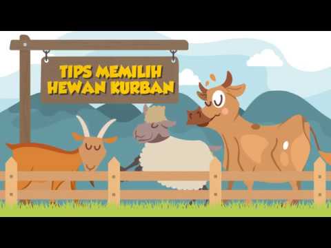 [Motion Grafis] Tips Memilih Hewan Kurban