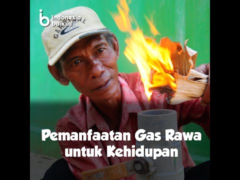 Pemanfaatan Gas Rawa untuk Kehidupan