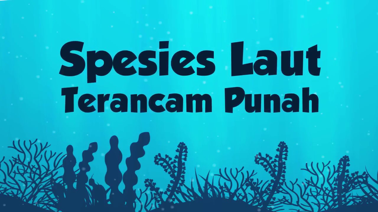 Spesies Laut Terancam Punah