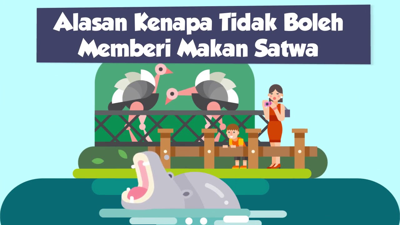 Stop Memberi Makan Satwa di Kebun Binatang!