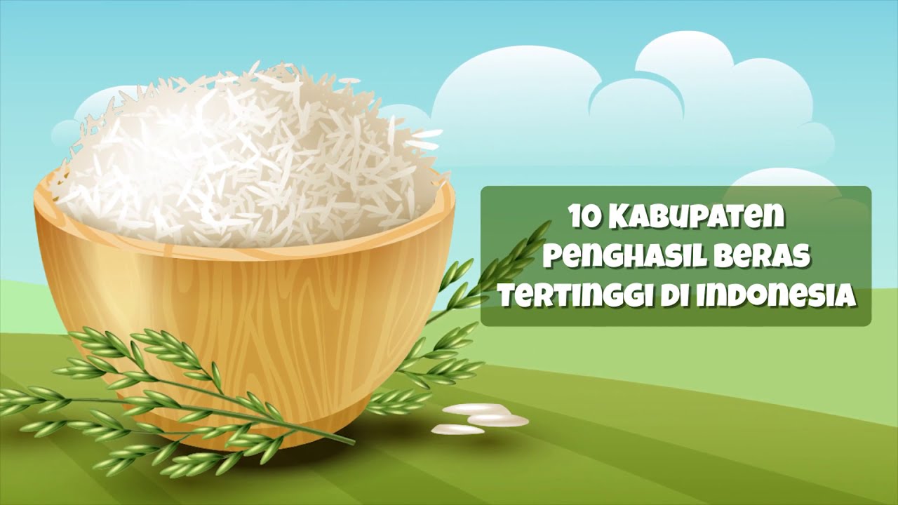 Ini Dia! 10 Kabupaten Penghasil Beras Tertinggi di Indonesia