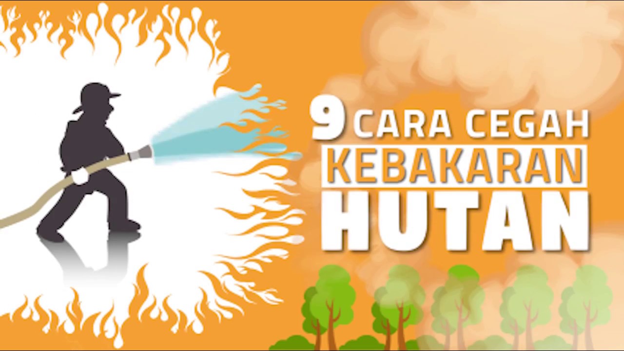 9 Cara Cegah Kebakaran Hutan