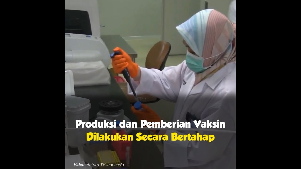 Produksi dan Pemberian Vaksin Dilakukan Secara Bertahap