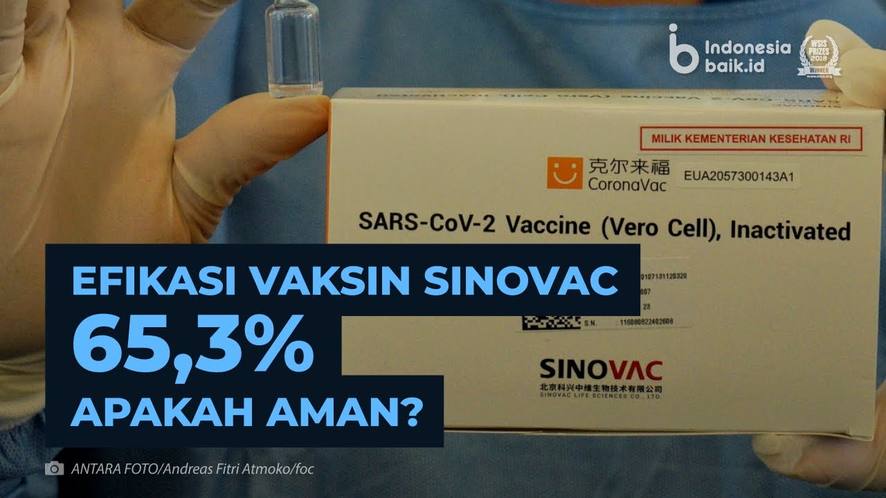 Efikasi Vaksin Sinovac 65,3%, Apakah Aman?