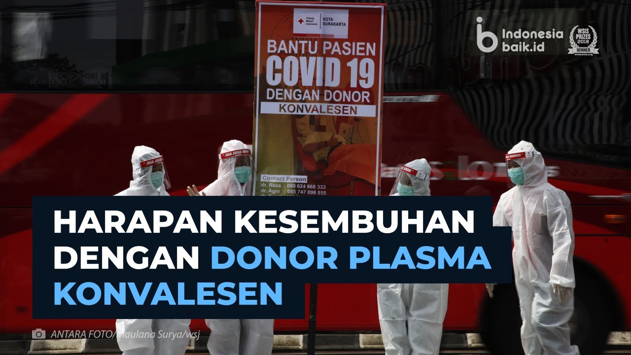 Harapan Kesembuhan dengan Donor Plasma Konvalesen