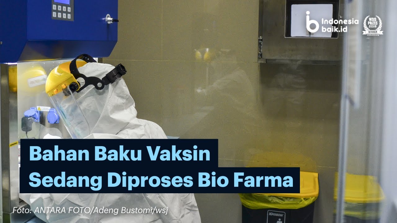 Bahan Baku Vaksin Sedang Diproses Bio Farma