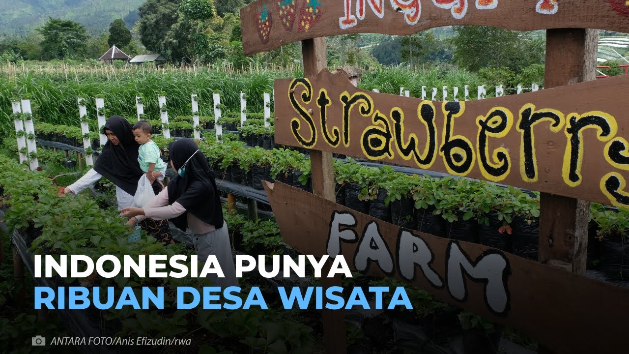 Indonesia Punya Ribuan Desa Wisata