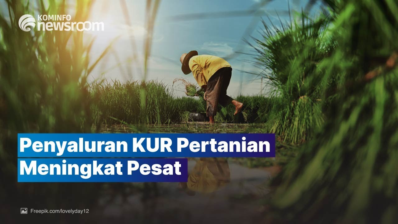 Penyaluran KUR Terus Tingkatkan Produktivitas Petani