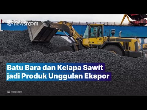 Batu Bara dan Kelapa Sawit jadi Produk Unggulan Ekspor