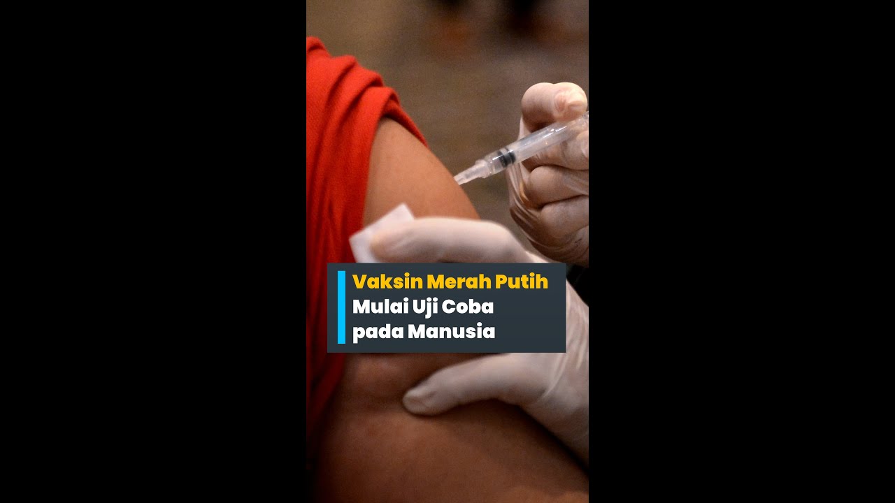 Vaksin Merah Putih Mulai Uji Coba pada Manusia