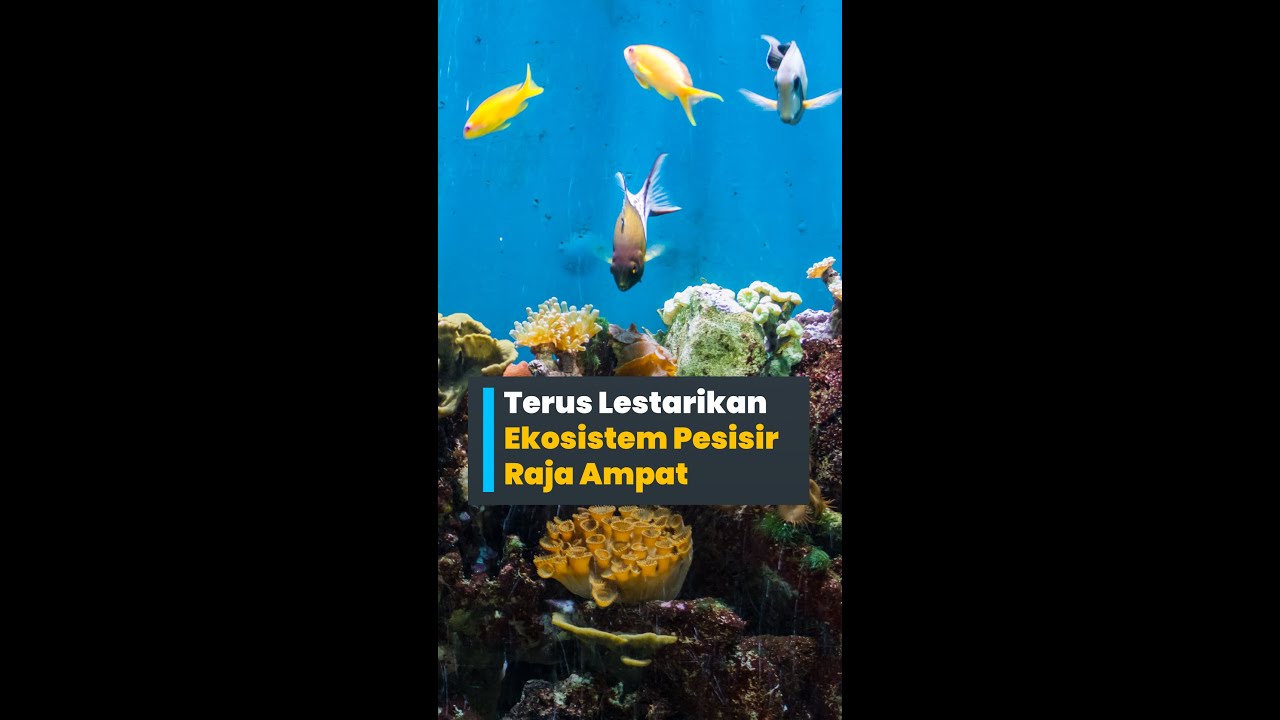 Terus Lestarikan Ekosistem Pesisir Raja Ampat